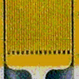 5FF1878E98AC59EA65FA60D6527F40C4E2E089BC
